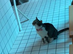 -ID.PHOTO照相馆(嘉里企业中心店)