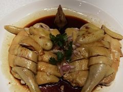 -宝园酒家(美林M·LIVE天地东座店)