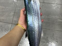 -鱼市酒店(威海水产批发市场店)