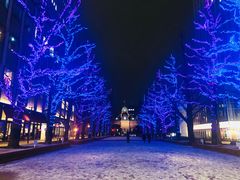 -北海道厅旧本厅舍(旧本庁舎)