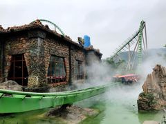 -鹦鹉过山车