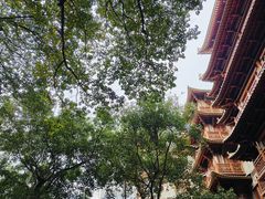 -大佛古寺