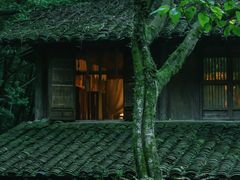 -灵隐飞来峰景区