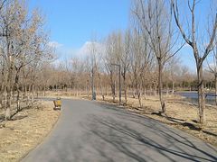 -东郊湿地公园