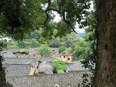 -杨家堂村