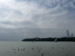-深圳湾公园(南山区)