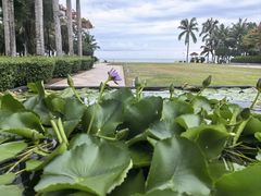 -三亚海棠湾万丽度假酒店