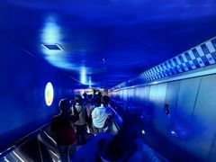 -白鹤梁水下博物馆