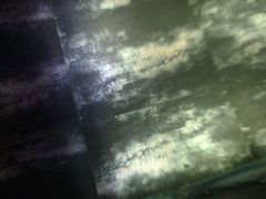 -倍力斯游泳健身(盛博店)