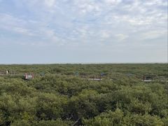 -北海金海湾红树林生态旅游区