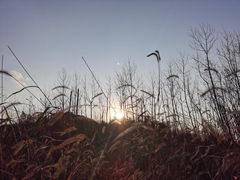 -曹丞相·地锅鸡·地锅鱼(武林店)