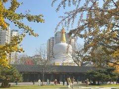 -护国法轮寺