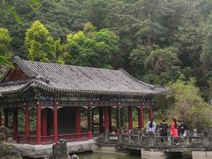 -深圳国际园林花卉博览园