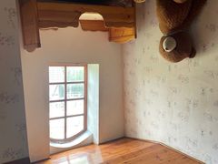 -金山农民画村-枫泾波兰倒置屋