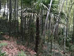-南山风景名胜区