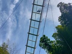 -藏龙百瀑风景区