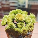 This is a life class