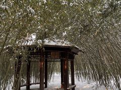 -郑州植物园