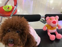 -小象猛犸(炫地购物中心店)
