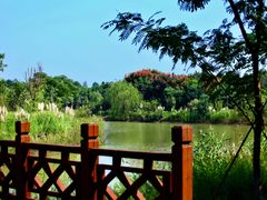 -南湖湿地公园