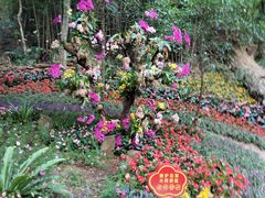 -广州市石门国家森林公园