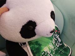-眉州东坡·熊猫主题餐厅(枫蓝店)