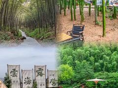 -紫藤园·天目湖大鱼头(南山竹海店)
