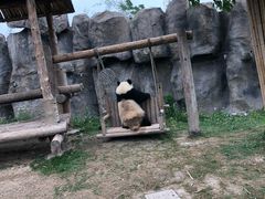 -野生动物园-停车场