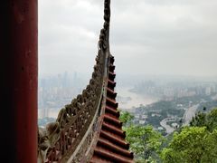 -南山植物园