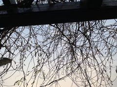 -望海·帆船主题咖啡厅•品茗下午茶(石湖景区店)