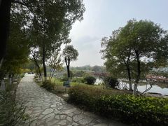 -金银湖国家城市湿地公园
