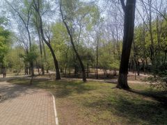 -东北农业大学