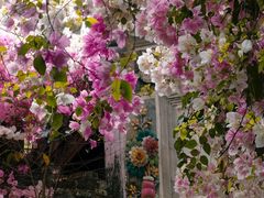 -深圳国际园林花卉博览园