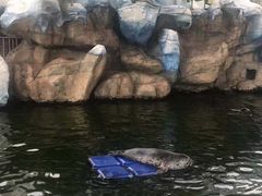 -华夏文旅海洋公园