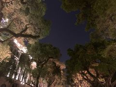 -白天鹅宾馆·流浮阁咖啡厅