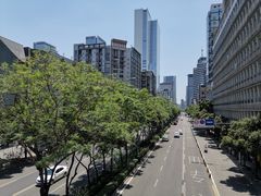 -廖老妈蹄花店(人民公园陕西街259号店)