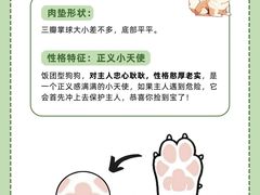 -爱侣宠医·鹦鹉专科·小型哺乳类·异宠专科(灵石路店)