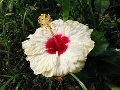 -南通洲际绿博园