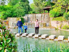 -成飞公园