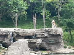 -宁波野生动物园