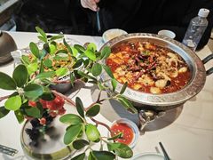 -奔跑吧陕菜·盛世长安(民乐园万达店)