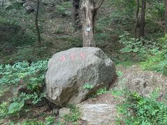 -北京西山国家森林公园