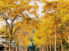 -八卦田遗址公园