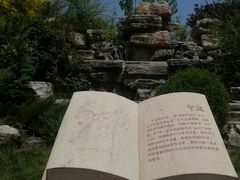 -武清南湖绿博园