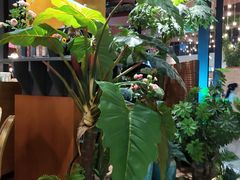 -青柠记忆泰式海鲜火锅(合生汇购物中心店)