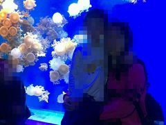 -芜湖新华联大白鲸海洋公园