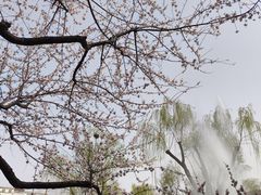 -碑林公园
