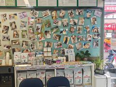 -爱妮康宠物医院·干细胞免疫细胞·肿瘤·心脏(张江店)