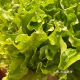 回购第二次的烤肉