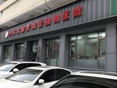 -中农大我爱我爱动物医院(甜水园店)